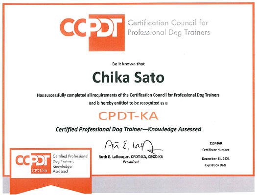 プレイボゥの講師は世界基準のドッグトレーナー資格『CPDT-KA』保有