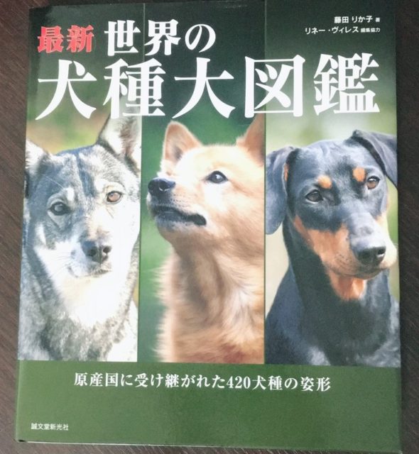 犬種図鑑