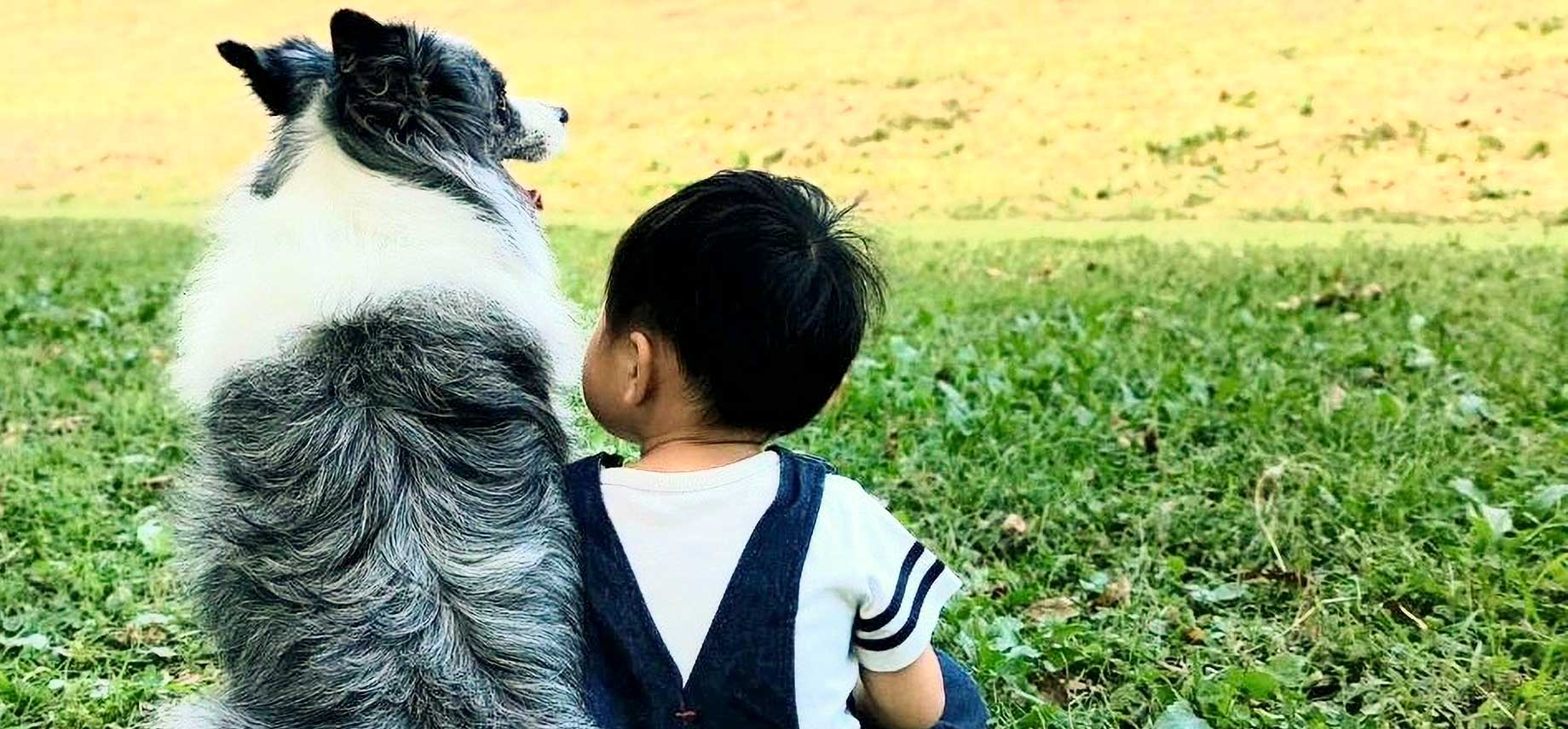 犬と人との共生