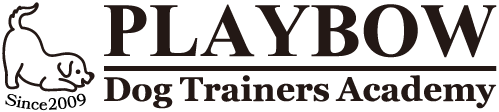 ドッグトレーナー資格取得のためのスクール PLAYBOW Dog Trainers Academy