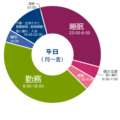 Sさん仕事の日のデータ