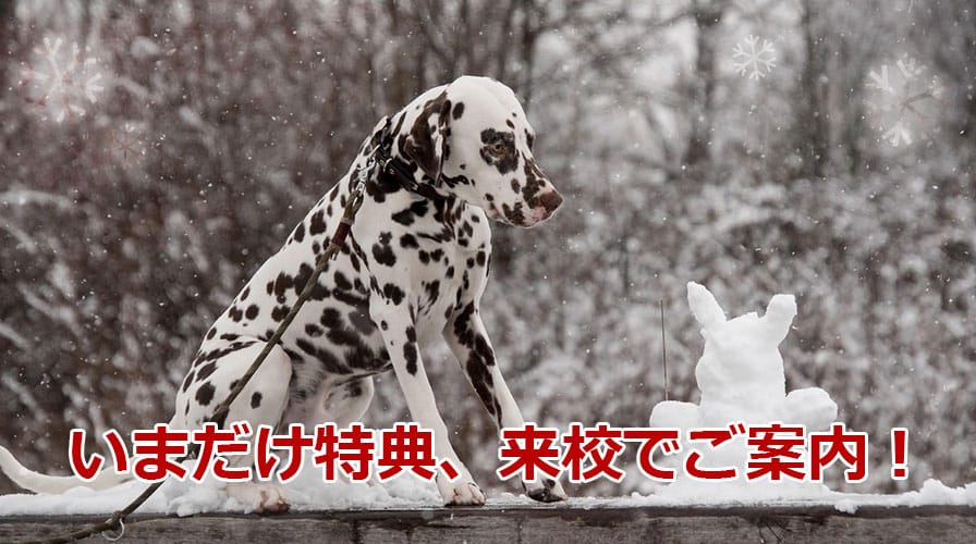 1月開講クラス限定キャンペーン