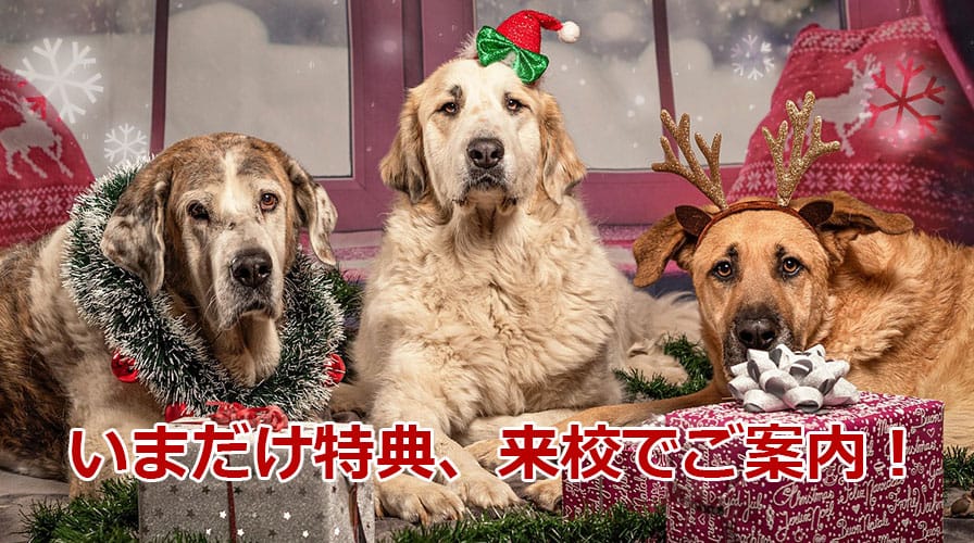 2026年1月開講クラス特別キャンペーン